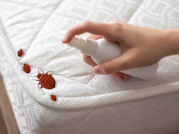 Best Residential Pest Control  in Central Heights Midland City, AZ